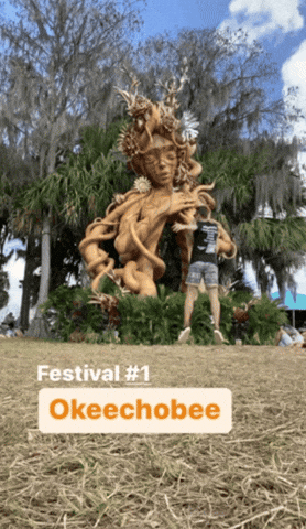 Okeechobee Hippieflip GIF
