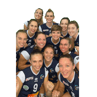 Volleyball Sticker by vdk Gent Damesvolley