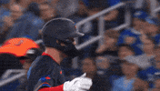 Blue Jays Baseball GIF by Toronto Blue Jays
