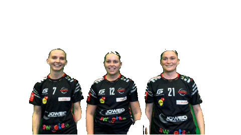 Fbriders Sticker by Floorball Riders