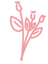 Beauty Love Sticker by thefirstrefresh