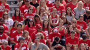Ohio State Dancing GIF by Ohio State Athletics