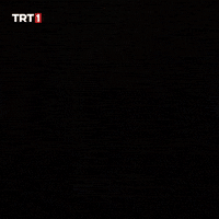 Turk Polis GIF by TRT