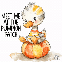 Pumpkin Patch Fall GIF