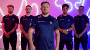 Team Fall GIF by BLAST