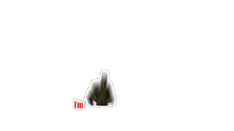 Ranveer Singh Sticker by Jio Studios