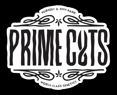 Primecutsnursery giphygifmaker prime cuts nursery GIF