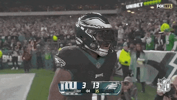 National Football League GIF by NFL