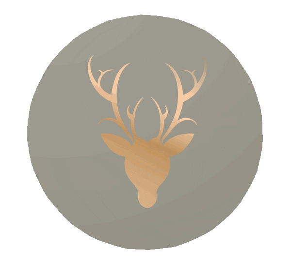 blethercults giphyupload blether blether cults blether cafe Sticker