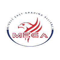 Megalogo Sticker by MEGA