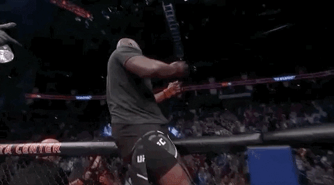 Derrick Lewis Sport GIF by UFC