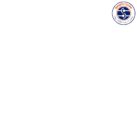 SynapticCycles synaptic cycles synapticcycles Sticker