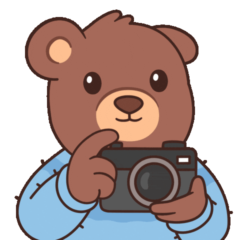Photography Smile Sticker by BEARISH