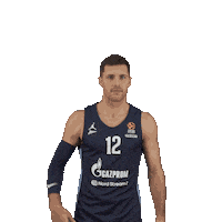 Baron Zenit Sticker by ZenitBasket
