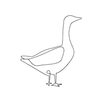 Rose Gans Sticker by nachbar