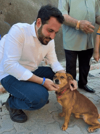 Cachorro GIF