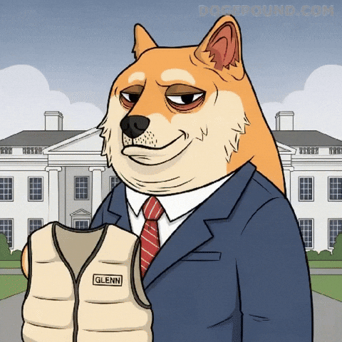 White House Deal With It GIF by Doge Pound
