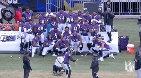 Baltimore Ravens Football GIF by NFL
