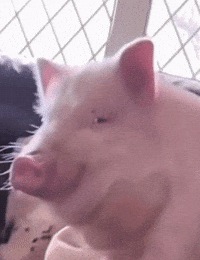 Hungry Monster GIF