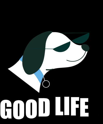 HGHPets giphygifmaker dog good life dog life GIF