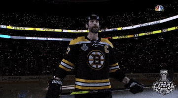 2019 stanley cup finals GIF by NHL