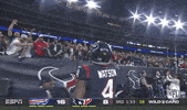 2019 Nfl Football GIF by NFL