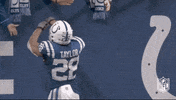 National Football League GIF by NFL