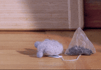tweedyandfluff love cute friends drink GIF