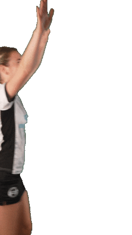 Korfbal Happy Dance Sticker by Korfbalvereniging HKC