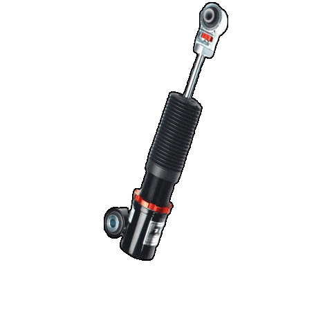 Coilover Shock Absorber Sticker by DGRsuspensions