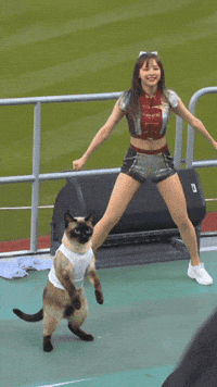 Catch Catch GIF
