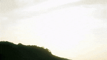 Nil GIF by hubcollage