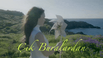 Nil GIF by hubcollage