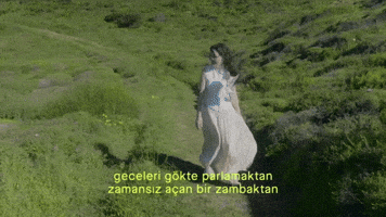 Nil GIF by hubcollage