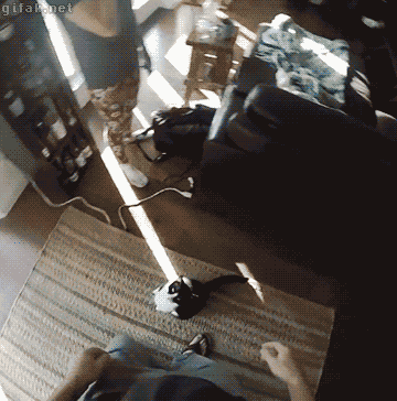 gif https://media4.giphy.com/media/v1.Y2lkPTc5MGI3NjExZTRzdjNjMHp5c3RqdXczNXlxMmY4eHFydm4xcXJsd2MzOW04MmZ2YiZlcD12MV9pbnRlcm5hbF9naWZfYnlfaWQmY3Q9Zw/Wsk5V26W0jVYur1f9Z/giphy.gif