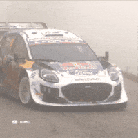 Ford Slide GIF by FIA World Rally Championship