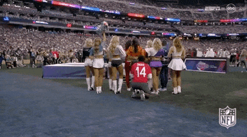 Stefon Diggs Football GIF by NFL