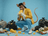 Swiss Cheese Eating GIF by Jukebox Saints