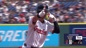 Sport Baseball GIF by MLB