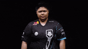 Luna Facepalm GIF by G2 Esports