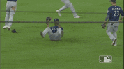 Regular Season Sport GIF by MLB