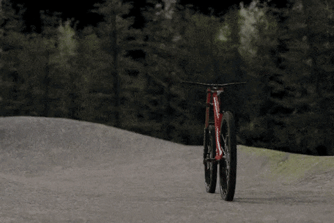 Bike Mountain GIF by Saalfelden Leogang