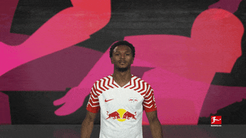 Rb Leipzig Football GIF by Bundesliga