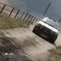 Group B Cars GIF by FIA World Rally Championship