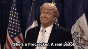 donald trump lol GIF