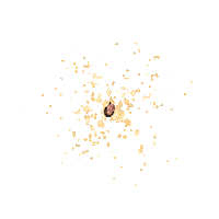 Hyunatapocalypse Sticker by Instagram Tag In Virtual GIF Booth