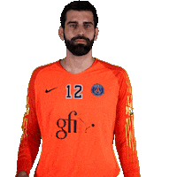 hell yeah yes Sticker by Paris Saint-Germain Handball