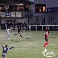 GIF by SPFL