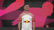 Rb Leipzig Football GIF by Bundesliga