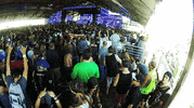 coachella GIF